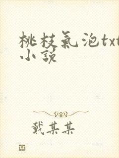 桃枝气泡txt小说