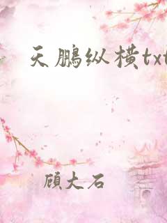 天鹏纵横txt