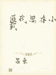 匪我思存小说下载