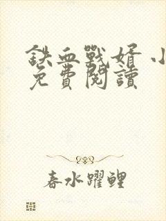 铁血战婿 小说免费阅读