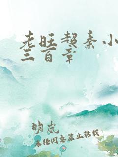 老旺超秦小雨第三百章