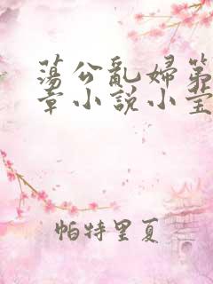 荡公乱妇第51章小说小莹