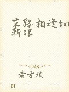 末路相逢txt新浪