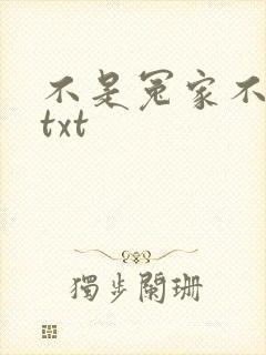 不是冤家不聚头txt