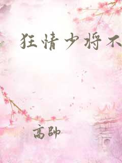 狂情少将不良妻