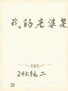 我的老婆是卧底