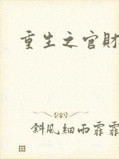 重生之官财人生