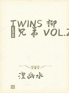 TWINS 柳澤兄弟 VOL.2