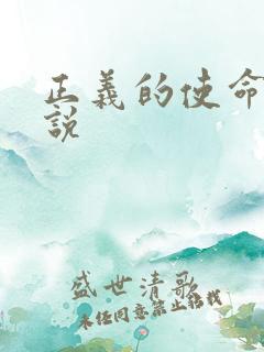 正义的使命 小说