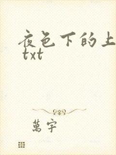 夜色下的上海滩 txt
