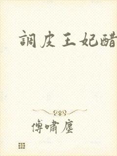 调皮王妃醋王爷