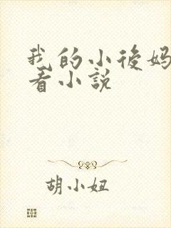 我的小后妈免费看小说