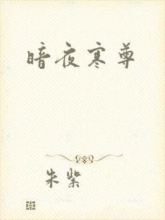 暗夜寒尊