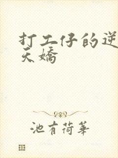 打工仔的逆袭楚天娇