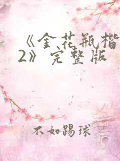 《金花瓶楷梅花2》完整版