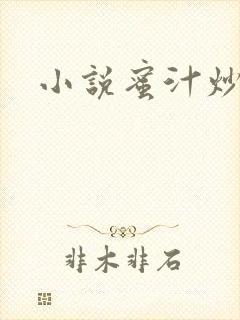 小说蜜汁炒鱿鱼