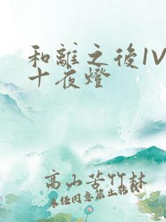 和离之后1V1十夜灯