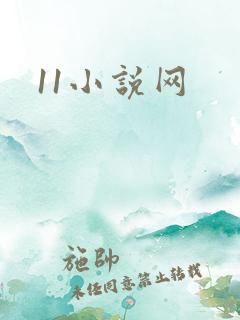 11小说网