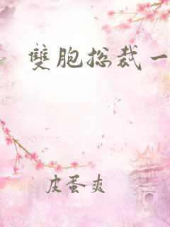 双胞总裁一个妻