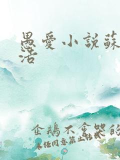 愚爱小说苏倩孙浩