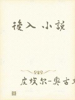 后入 小说