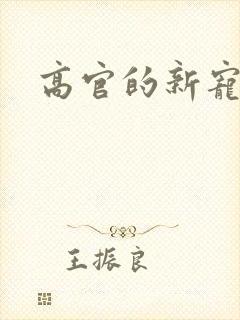 高官的新宠
