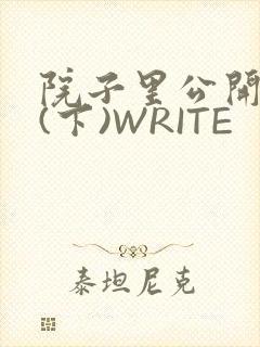 院子里公开惩戒(下)WRITE