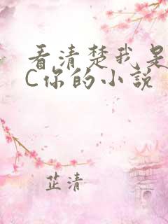 看清楚我是怎么C你的小说