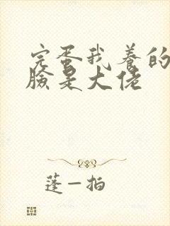 完蛋我养的小白脸是大佬