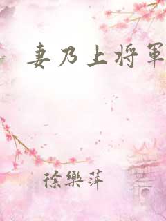 妻乃上将军下载