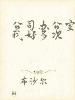 公司办公室c了我好多次