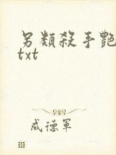 另类杀手艳福星txt