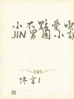 小不点爱吃肉混JIN男团小说