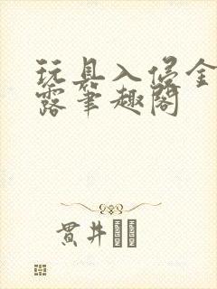 玩具入侵金银花露笔趣阁