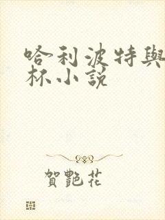 哈利波特与火焰杯小说