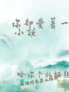 你却爱着一个他 小说