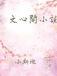 文心阁小说
