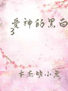 爱神的黑白羽翼3