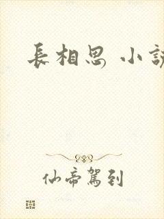 长相思 小说