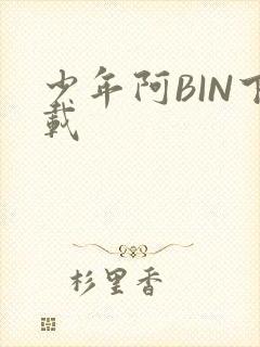 少年阿BIN下载