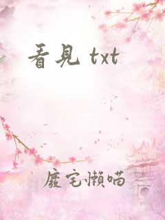 看见 txt