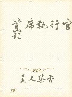 首席执行官的绝宠