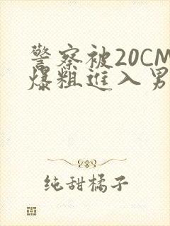 警察被20CM爆粗进入男男软件