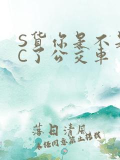 S货你是不是欠C了公交车