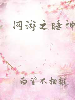 网游之睡神传说