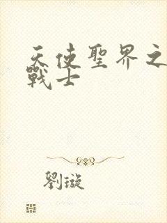 天使圣界之神之战士