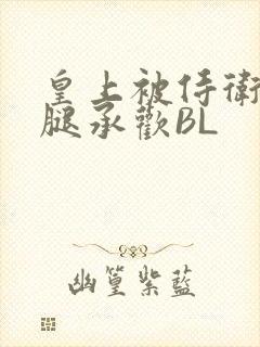 皇上被侍卫抵开腿承欢BL