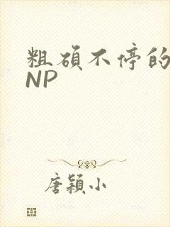 粗硕不停的进出NP