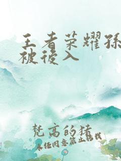 王者荣耀孙尚香被后入