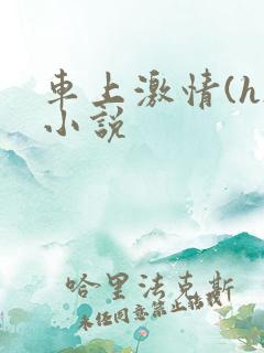 车上激情(h)小说